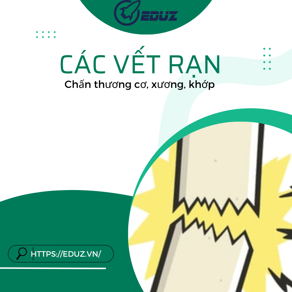 Sơ Cấp Cứu Thường Thức - Các Vết Rạn